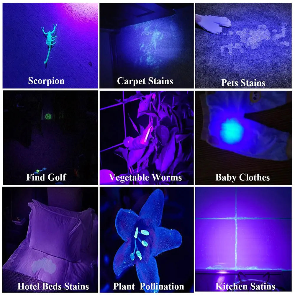 Mini 365nm UV Flashlight Purple Ultraviolet Blacklight USB Rechargeable Carpet Pet Urine Detector Catch Scorpions Linternas